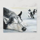 Recherche de husky cartes postales Neige