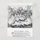 Recherche de salamandre cartes postales Illustration