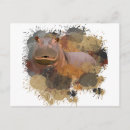 Recherche de hippopotame cartes postales Animaux africains