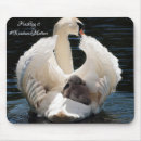 Search for swans electronics Birds