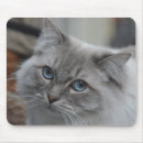 Search for kitty love electronics Blue