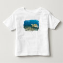 Search for mydas tshirts Pacific ocean
