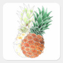 Search for watercolor pineapple stickers Green