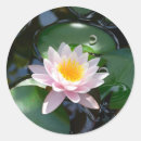 Search for lotus pond stickers Flower