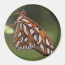 Recherche de papillon blanc magnets Orange