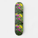 Search for monarch skateboards Butterflies