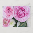 Search for multi region postcards Plant