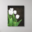 Recherche de tulipes blanches art Vert
