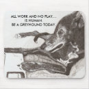 Search for dog rule electronics Pet