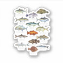 Search for hooked on fishing stickers Fisherman