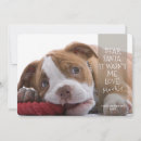 Search for good dog cards Red