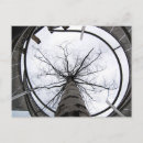 Search for limits postcards Sky