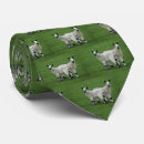 Search for lamb ties Sheep