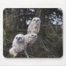 Search for horned owl mousepads Horizontal