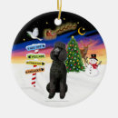 Recherche de caniche noir ornements Chien