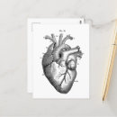 Recherche de dessin anatomique cartes postales Anatomie
