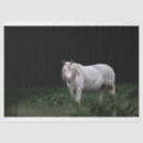 Search for wild horse tissue paper Black