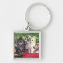 Search for colour imaging keychains Beauty