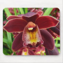 Recherche de orchidée rouge tapis souris Nature