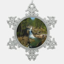 Recherche de parc national ornements Photographie