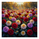 Recherche de signification fleurs posters Toute personne