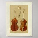 Search for viola posters Stringed instrument