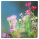 Recherche de américain carreaux Fleurs