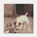 Recherche de poussins magnets Chien