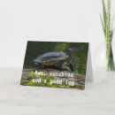 Search for funny turtle cards Summer