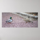Recherche de duc art Faune