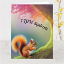 Search for squirrel cards Wildlife