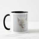 Search for sleeping kitten mugs Animal