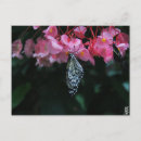 Recherche de suspendu cartes postales Nature