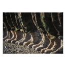 Search for camouflage posters Troops