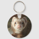 Search for ferrets keychains Ferret lover