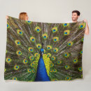 Search for peacock blankets Colorful