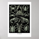 Recherche de ernst art Science