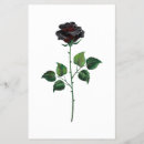 Search for floras flyers Rose