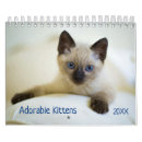 Recherche de cute bureau fournitures Chats mignons