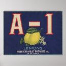 Search for vintage lemon posters California