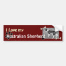 Search for australian shepherd bumper stickers Pup