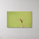 Search for wild one canvas prints Animal