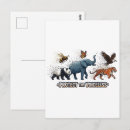 Search for protecting postcards Wildlife conservation
