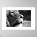 Recherche de profils posters Noir