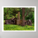 Search for cabin posters Photography
