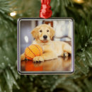 Search for retriever ornaments Play