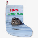Search for sea otter Humor