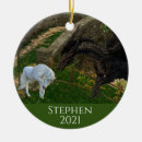 Search for unicorn home decor Fantasy