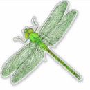 Search for dragon fly electronics Bug