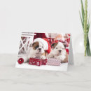 Search for english bulldog christmas cards Pets